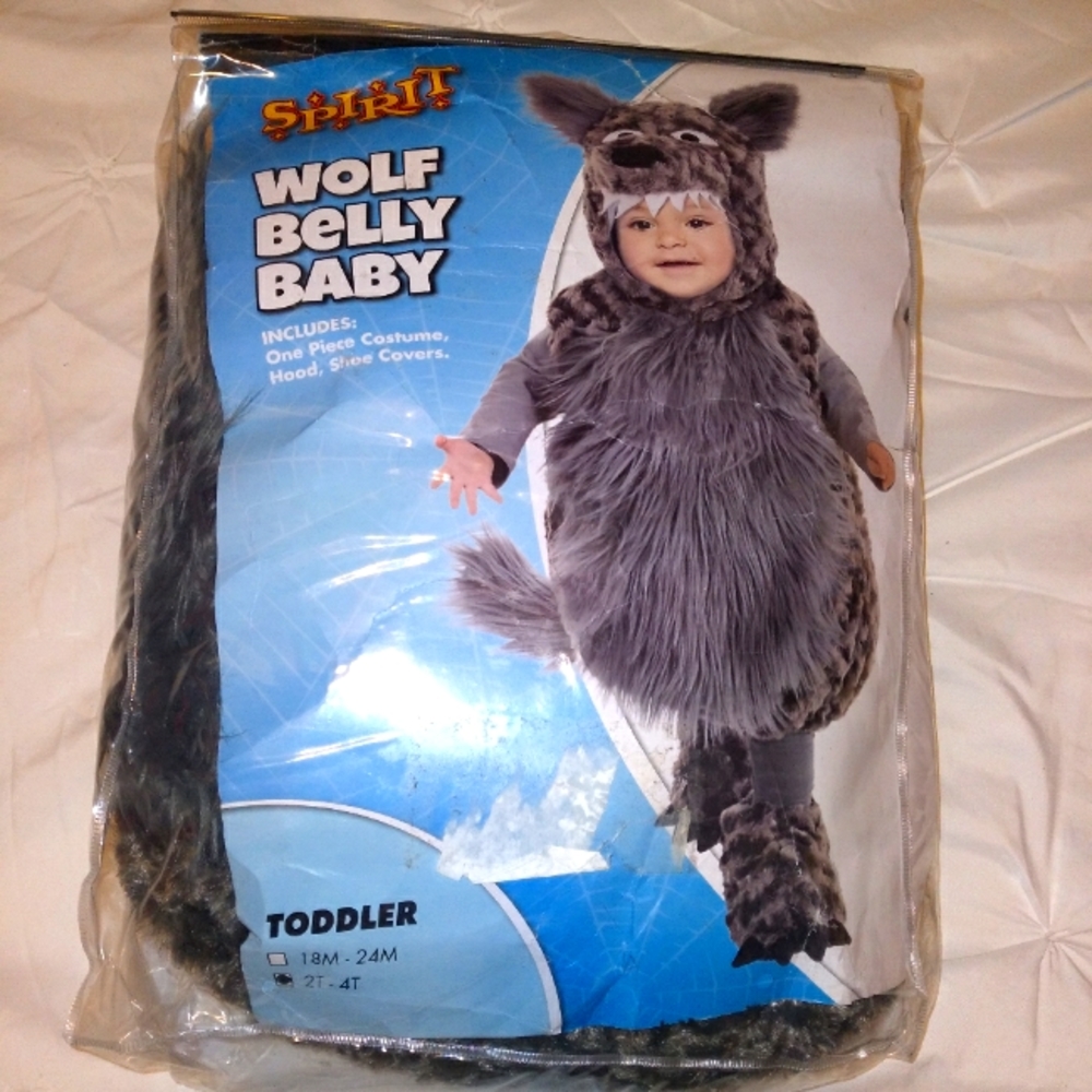 Baby wolf